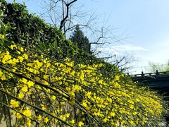 -西安汉城湖景区