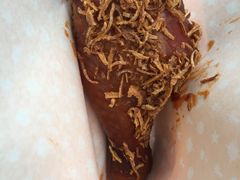烤火鸡腿-飞天翼龙