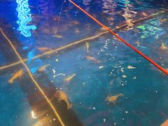 -钳真多钓虾馆·小龙虾海鲜烧烤(九六广场店)