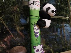 -十四不搭·打边炉(运河店)