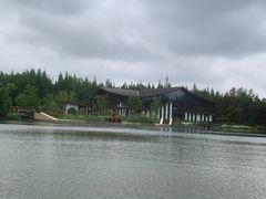 -东平国家森林公园