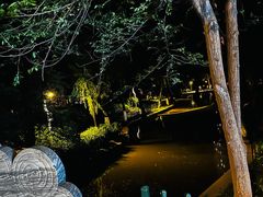 -西安市长乐公园