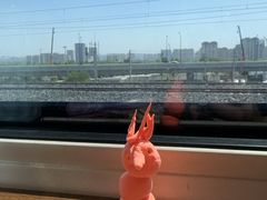 -云尊府云南菜·蒸汽石锅鱼(五棵松华熙店)