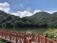 -广州市石门国家森林公园