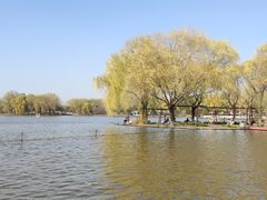 -石家庄市植物园