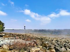 -上海吴淞炮台湾国家湿地公园