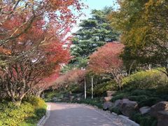 -大宁灵石公园西门票处