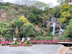 -青青世界