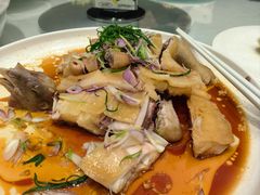 -千灯盛汇·头牌粤菜(致越优城店)