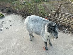 -会稽山峡洞漂流-上青古道