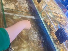 -诱货海鲜自助火锅(爱琴海购物公园东百店)