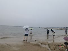 -老虎石海上公园