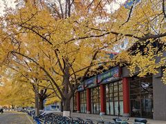 -四川大学(华西校区)