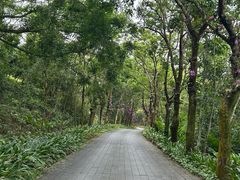 -海南文笔峰盘古文化旅游区