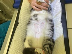 -美联众合24小时·皮肤科·外科·全科诊疗中心(华苑分院)