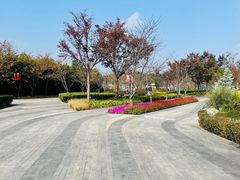 -上海山野camping·户外天幕烧烤·团建拓展营地