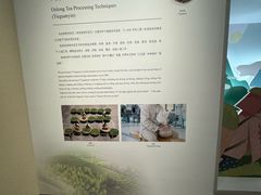 -中国茶叶博物馆(双峰馆区)