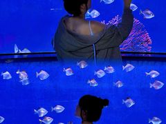 -沈阳海洋探索中心