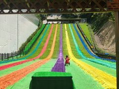 -梦幻奥陶纪景区