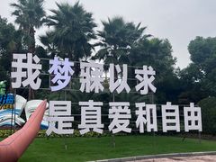 -环球动漫嬉戏谷