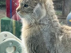 -青藏高原野生动物园
