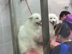-宠福鑫康馨动物医院·骨科·眼科