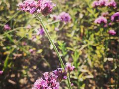 -山明水秀大饭店