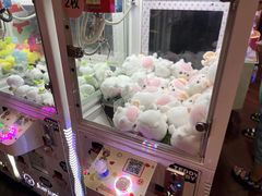 -大鲁阁保龄球(苏州园区店)