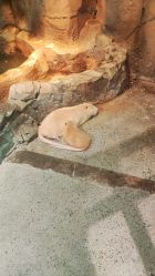 -酷嗒动物文化乐园(cutezoo西溪乐天城店)