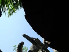 -长鹿旅游休博园