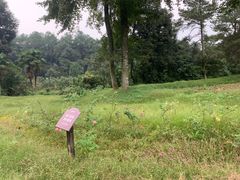 -保利石象湖景区