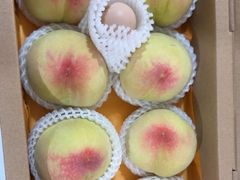 -老袁家蜜桃农场·阳山水蜜桃