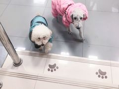 -瑞派宠物医院·24h·骨外科·皮肤科·全科宠物医疗转诊中心(沈阳浑南院)