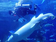 -多彩贵州城极地海洋世界