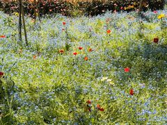 -海上海弘基休闲广场