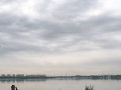 -丁香湖公园