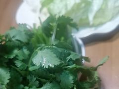 -芦月轩羊蝎子(劲松店)