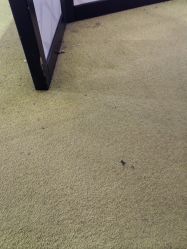 -幻贝家儿童乐园(苏州中心店)