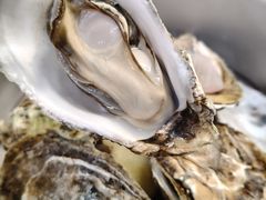 高压锅生蚝-小竹签烤肉纸包鱼小龙虾(唐韵路店)