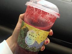 -野萃山·潮汕厚果汁(十亩地店)