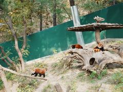 -大连森林动物园