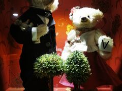 -济州岛泰迪熊博物馆