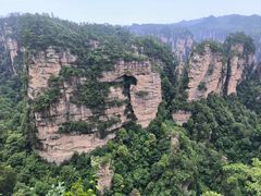 -印象鲵宴·张家界地标美食名片(溪布街店)