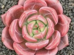 -兰陵国家农业公园