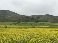 -扁都口生态休闲旅游区