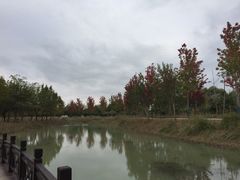 -泗洪洪泽湖湿地景区