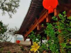 -碑林公园