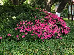 -常州古运河南大街文化旅游区-人民公园