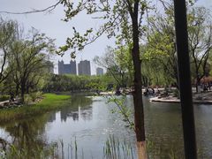 -满都海公园