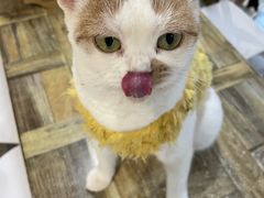 -小时光咖啡馆(北锣鼓巷店)